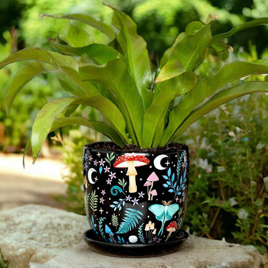 The Fashion Gift Shop: Dark Forest Print Ceramic Plant Pot with Saucer 11cm by Spirit of equinox, Pots and Planters