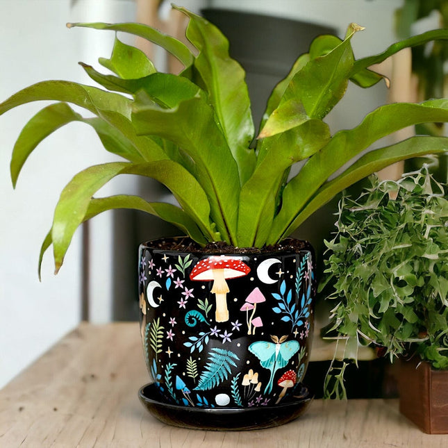 Dark Forest Print Ceramic Plant Pot with Saucer - Pots and Planters by Spirit of equinox