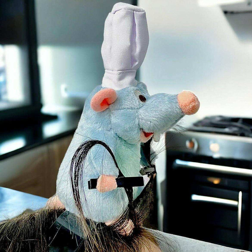 The Fashion Gift Shop: Disney Ratatouille Little Chef Remy Hairband by Disney, Hair Accessories