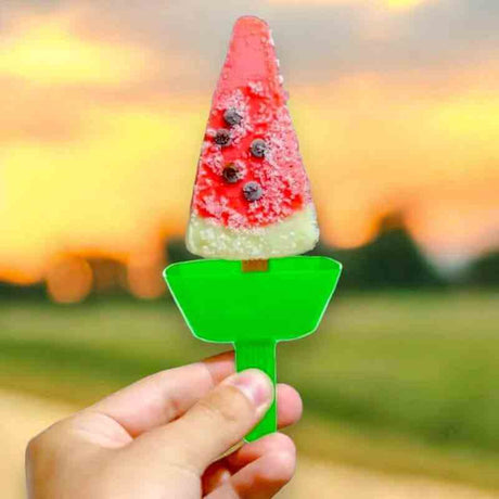 The Fashion Gift Shop: No Mess Drip Proof Ice Lolly Popsicle Holder Reusable by The Fashion Gift Shop, Ice Lolly Holders