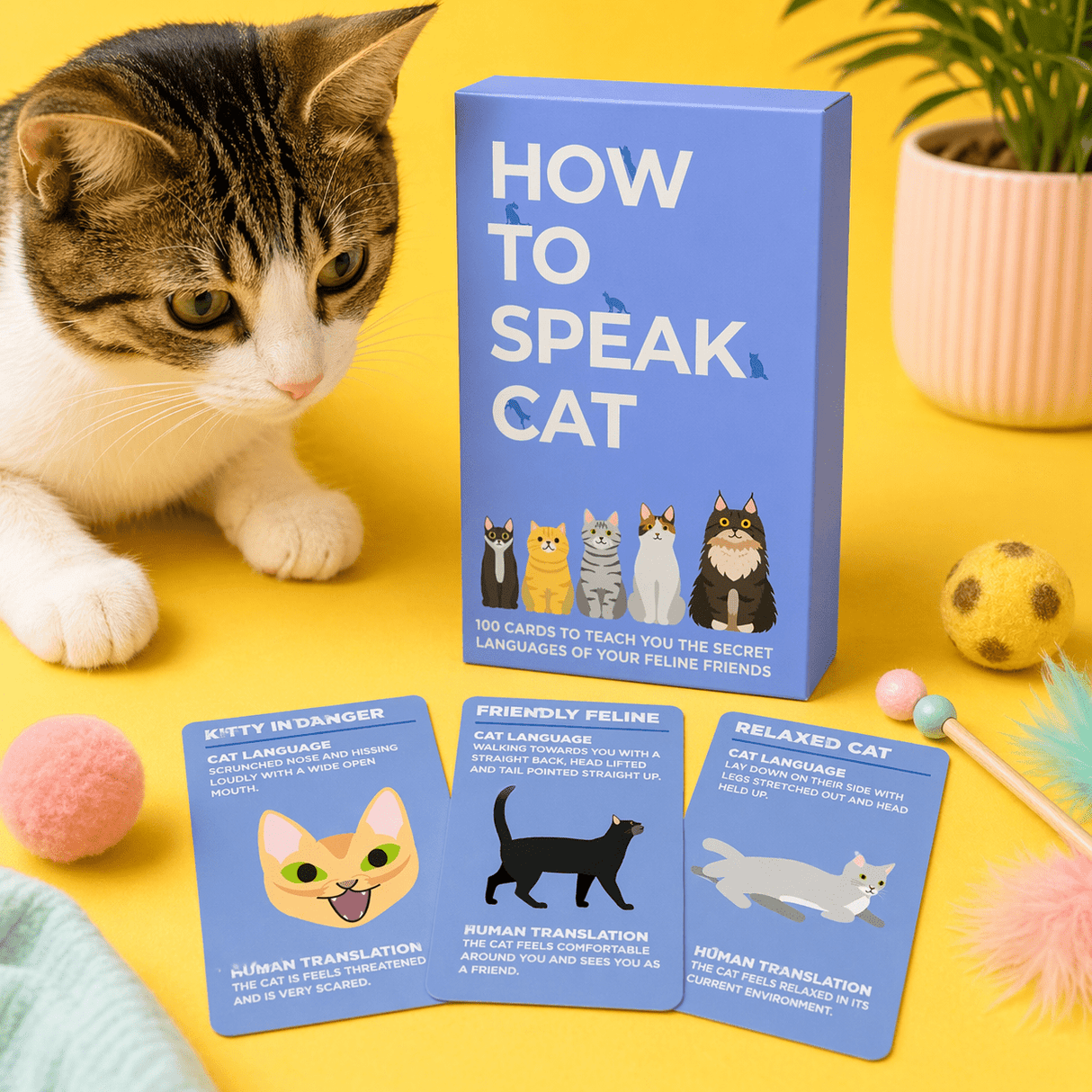 The Fashion Gift Shop: How To Speak Cat Card Deck | Fun Gift for Cat Lovers by Gift Republic, Gifts for Cat Lovers