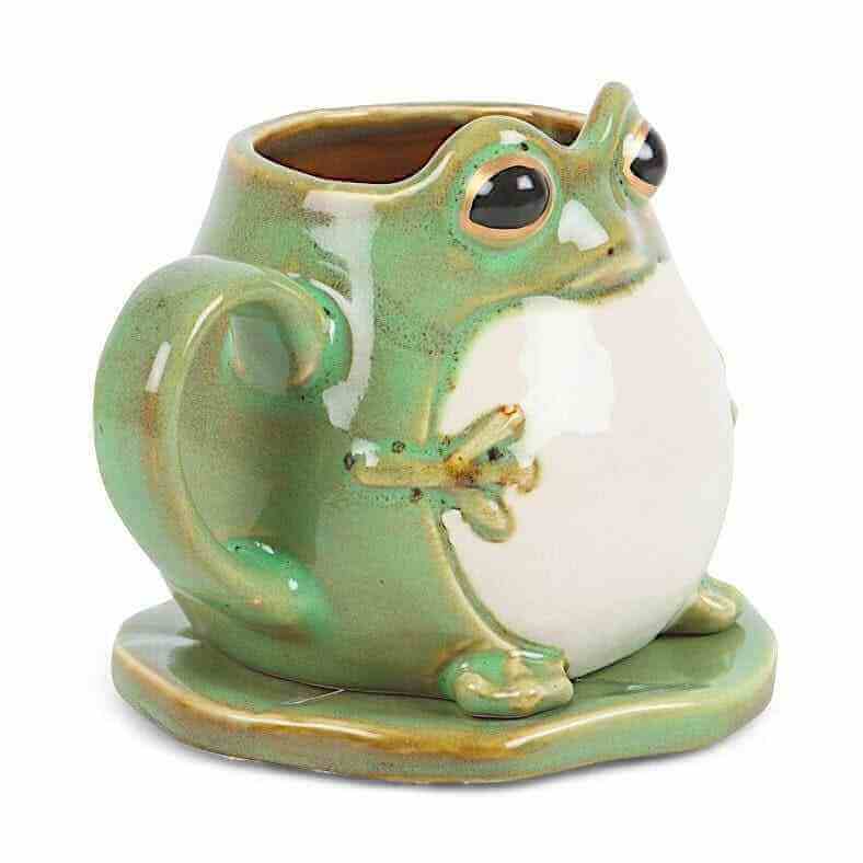 Cute Frog Shaped Mug and Lily Pad Saucer for Frog Lovers 🐸 by Jones Home & Gifts