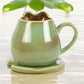 Frog Shaped Mug and Lily Pad Saucer for Frog Lovers.