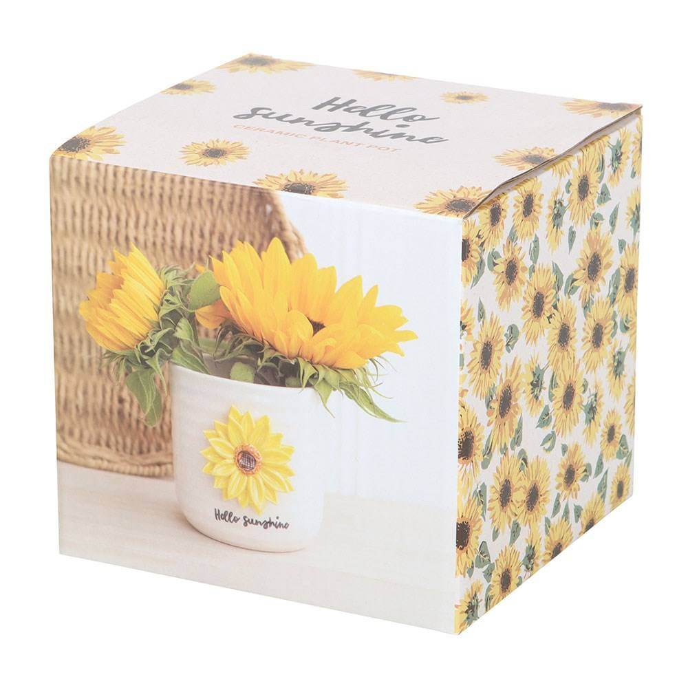Hello Sunshine plant pot gift box with sunflower design
