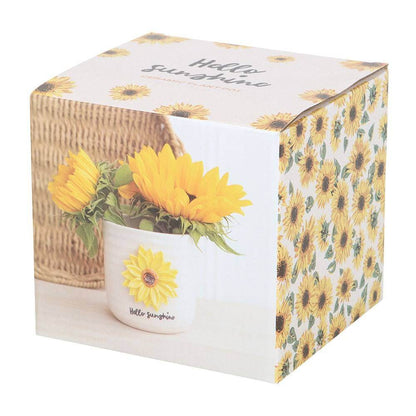 Hello Sunshine plant pot gift box with sunflower design
