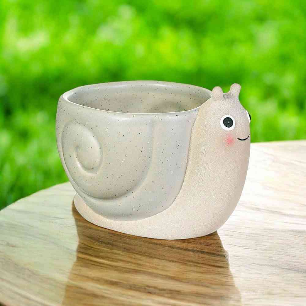 Mini snail planter on wooden surface, beige pot with green succulent and snail face.