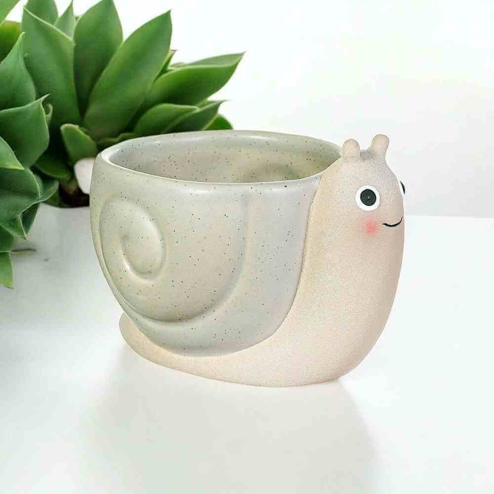 Mini snail planter close-up, beige pot with green succulent and cute snail face.