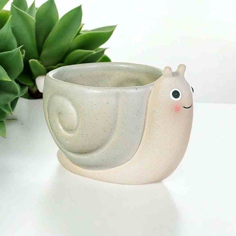The Fashion Gift Shop: Mini Snail Planter, Small Cute Plant Pot by Sass and Belle, Pots and Planters