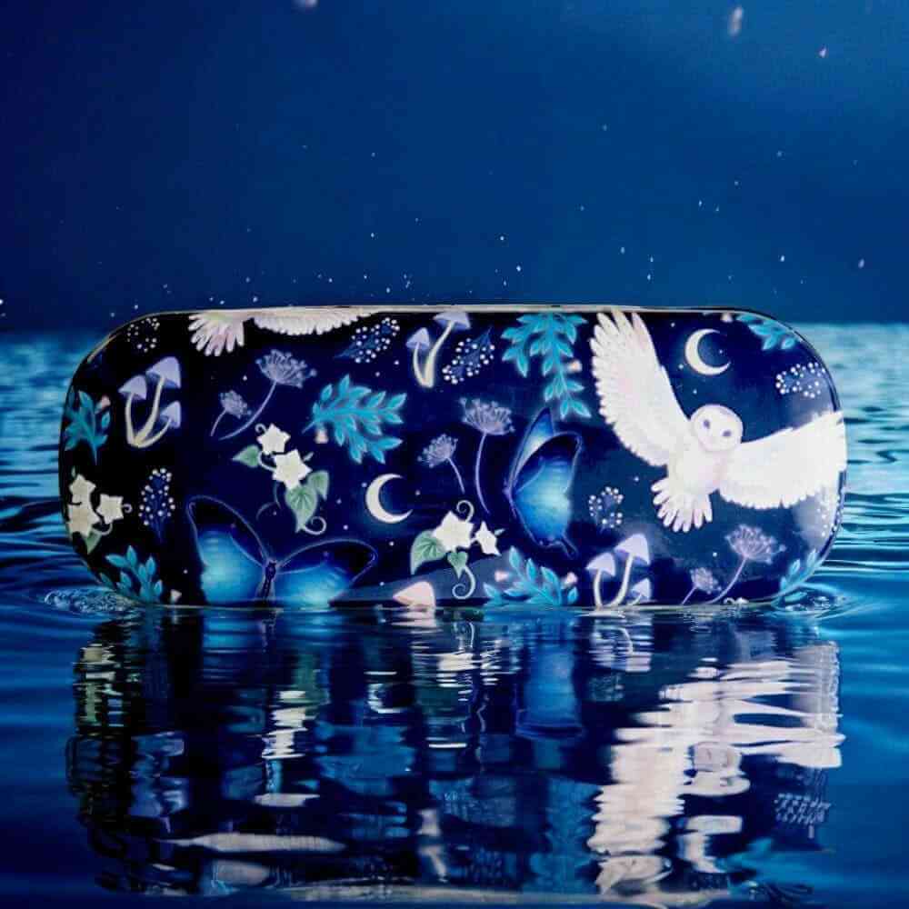 The Fashion Gift Shop: Night Flight Owl Sky Print Glasses Case by Jones Home & Gifts, Eyewear Cases & Holders