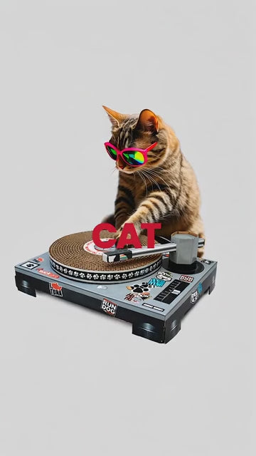 Cool for Cats Turntable Scratching Cat Toy