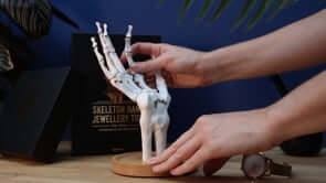 Skeleton Jewellery Tidy Holder by Suck UK Premium Gift