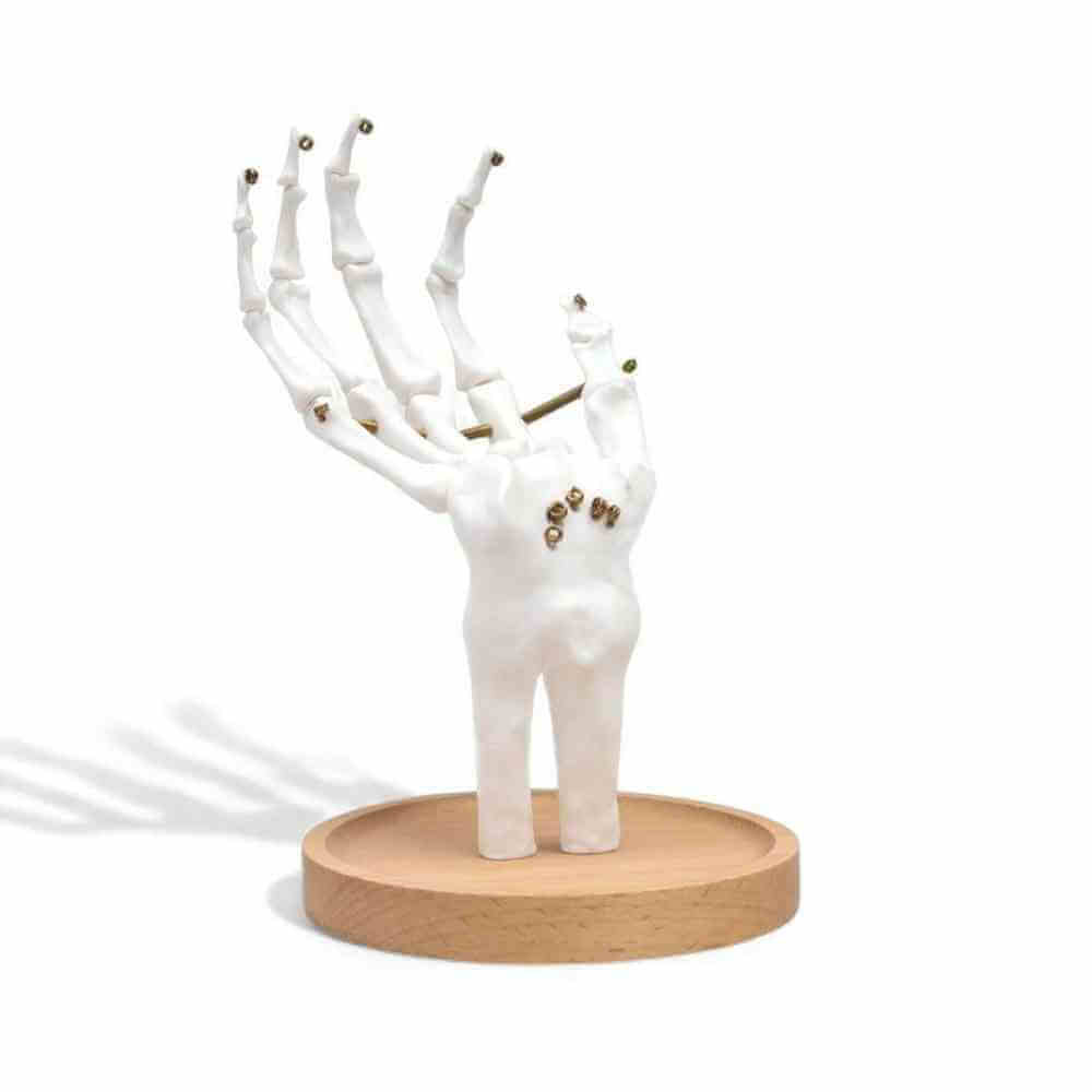 Skeleton Hand Jewellery Holder Tidy by Suck UK Premium Gift by SuckUK