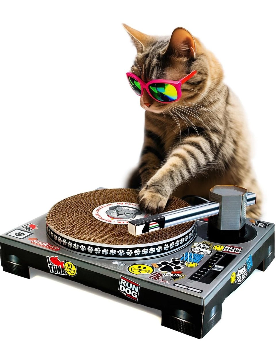 The Fashion Gift Shop: Cool for Cats Turntable Scratching Cat Toy by SuckUK, Cat Scratchers and Cat Toys