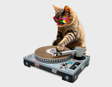 Turntable cat scratching toy with circular scratching pad and metal wand arm