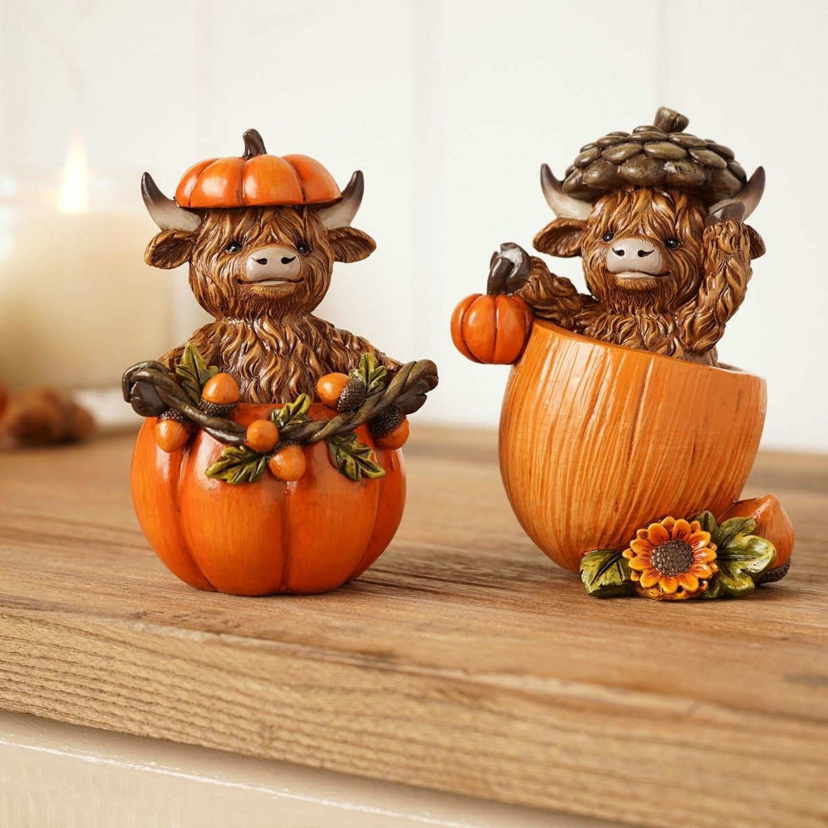 Decorative Highland cow figurines in orange pumpkins with autumn leaves and flowers