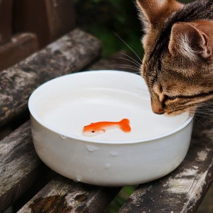 White ceramic cat water bowl with orange fish trick piece floating, close-up