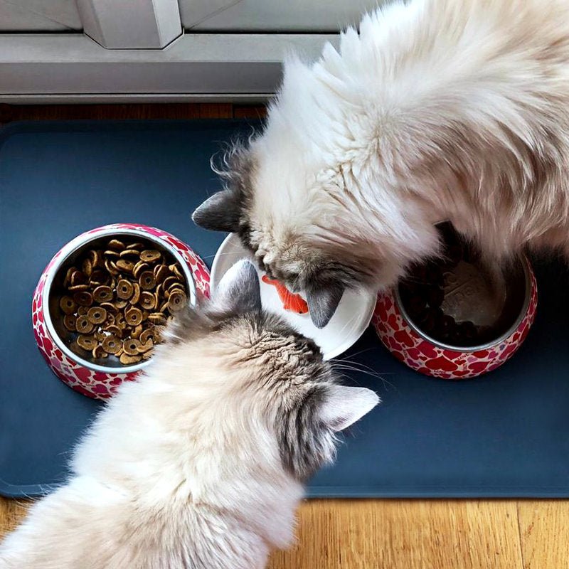 Ceramic cat bowls with orange fish trick pieces as cats drink from them