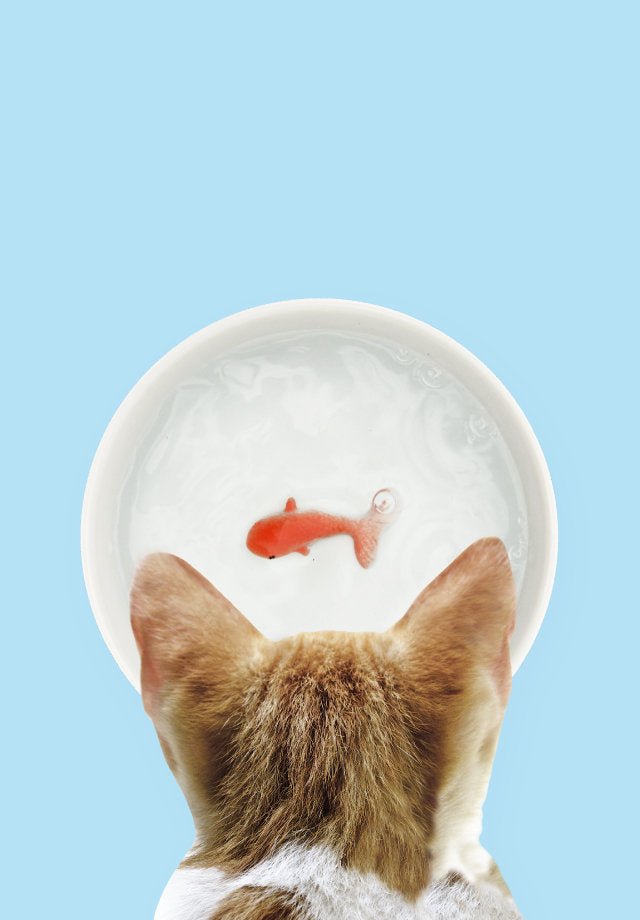 Ceramic cat water bowl with goldfish graphic and cat ears detail