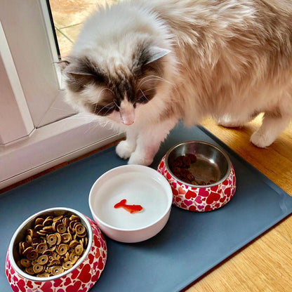 Ceramic cat water bowl with red-orange fish trick piece, white dish with paw prints