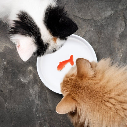 White ceramic cat water bowl with orange fish trick piece, two cats reaching