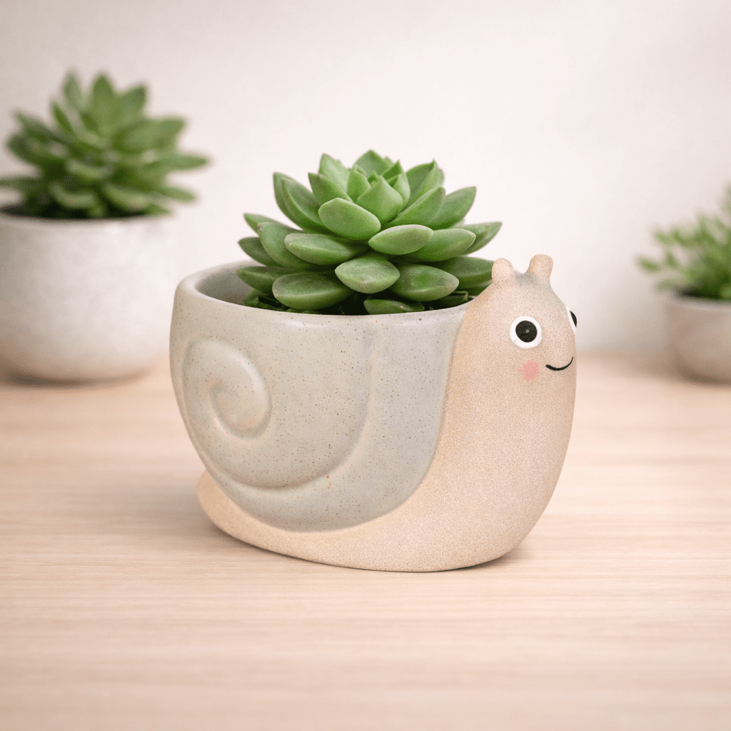 Mini snail planter with green succulent in beige pot, smiling snail face and shell detail.