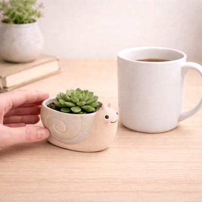 Mini snail planter in beige pot with green succulent, hand gently holding planter.