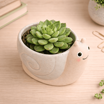 Mini snail planter with green succulent in beige pot and raised snail face detail.