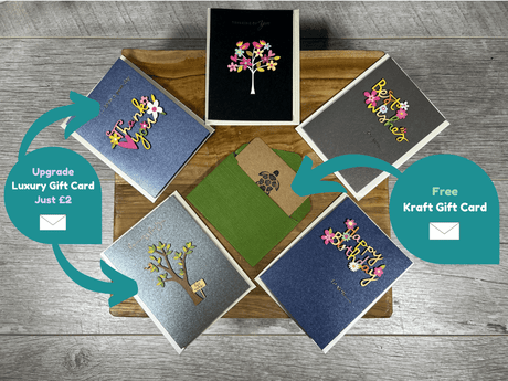 Plant Propagation Gift Set #3 by Purple Turtle Co