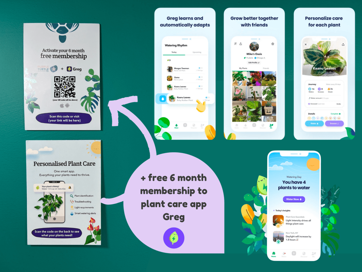 Plant Propagation Gift Set #3 by Purple Turtle Co