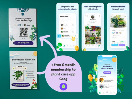 Plant Propagation Gift Set #3 by Purple Turtle Co