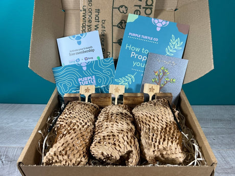 Plant Propagation Gift Set #3 by Purple Turtle Co