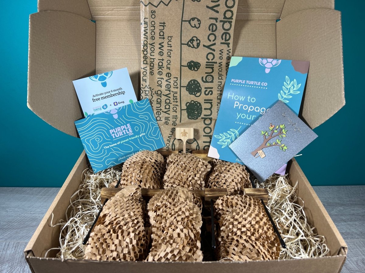 Plant Propagation Gift Set #3 by Purple Turtle Co