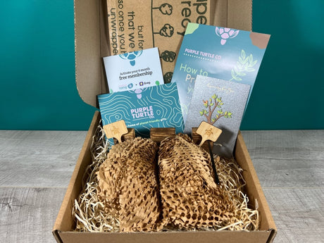 Plant Propagation Gift Set #3 by Purple Turtle Co