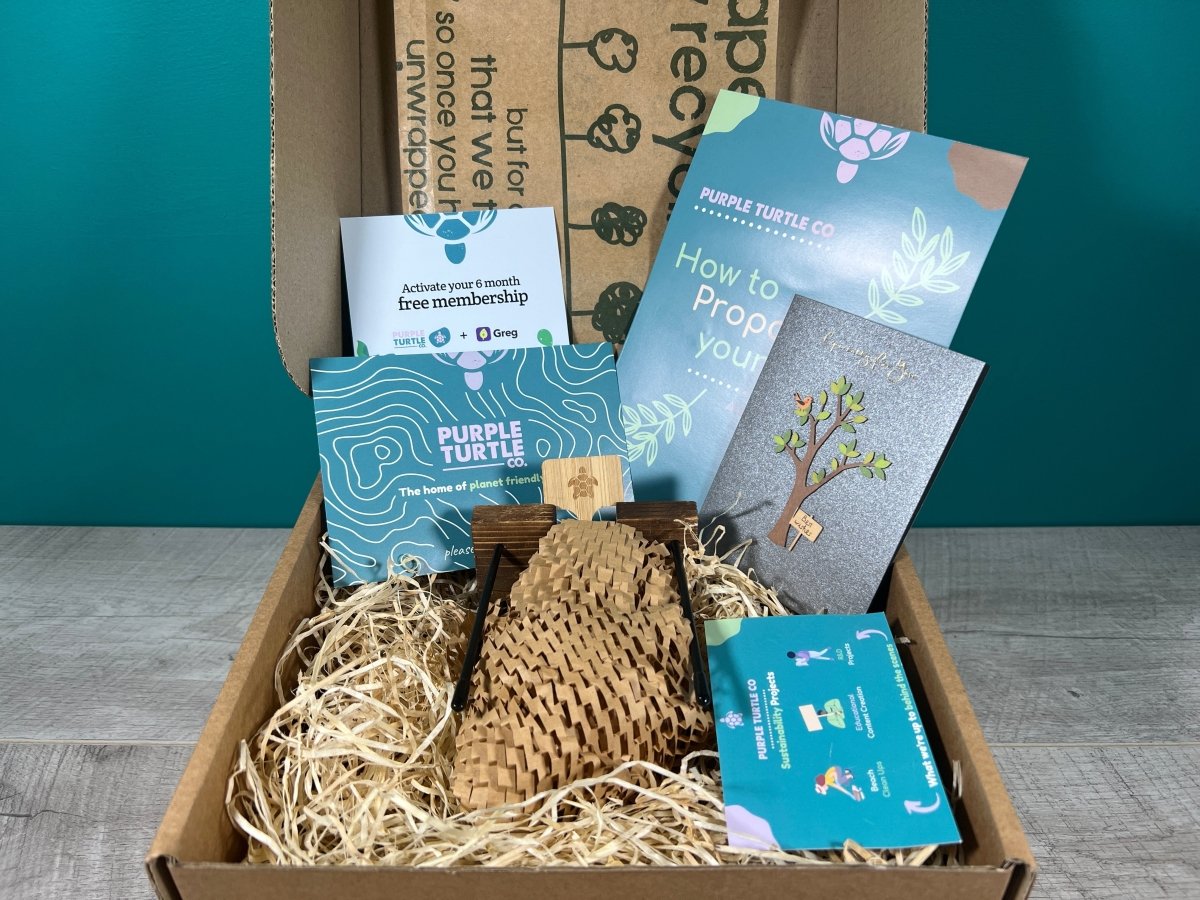 Plant Propagation Gift Set #3 by Purple Turtle Co