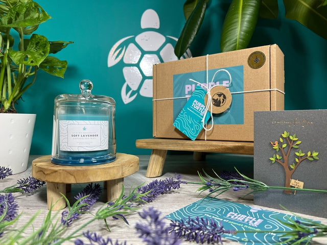 Soy Wax Lavender Candle Gift Set by Purple Turtle Co