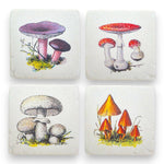 Vintage Mushroom Coasters - Set of 4  Jones Home & Gifts  The Fashion Gift Shop .