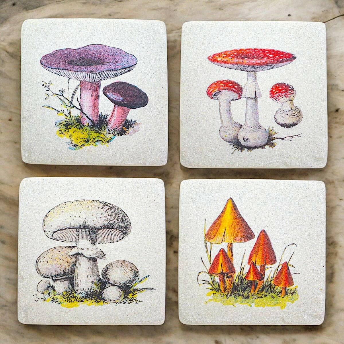 Vintage Mushroom Coasters - Set of 4  Jones Home & Gifts  The Fashion Gift Shop .