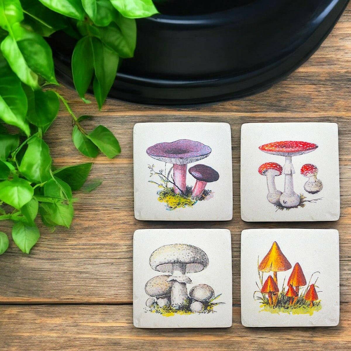 Vintage Mushroom Coasters - Set of 4  Jones Home & Gifts  The Fashion Gift Shop .