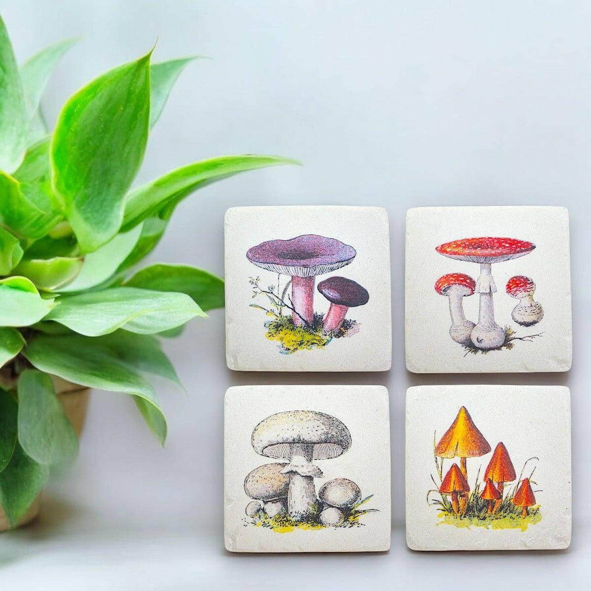 Vintage Mushroom Coasters - Set of 4  Jones Home & Gifts  The Fashion Gift Shop .