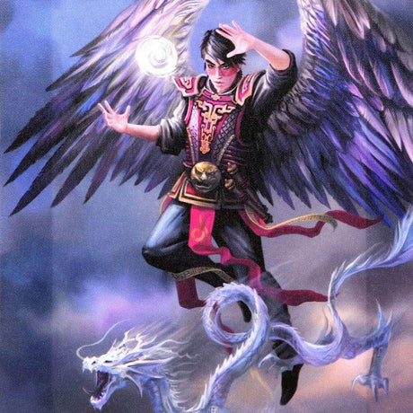 The Fashion Gift Shop: Anne Stokes Air Element Wizard Wall Art Canvas Plaque by Anne Stokes, Wall Art's