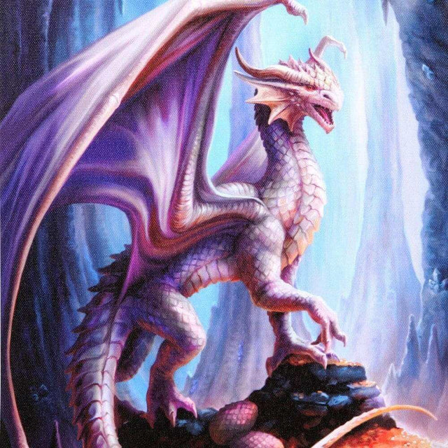 The Fashion Gift Shop: Anne Stokes Treasure Trove Canvas Artwork for Home Decor by Anne Stokes, Wall Art's