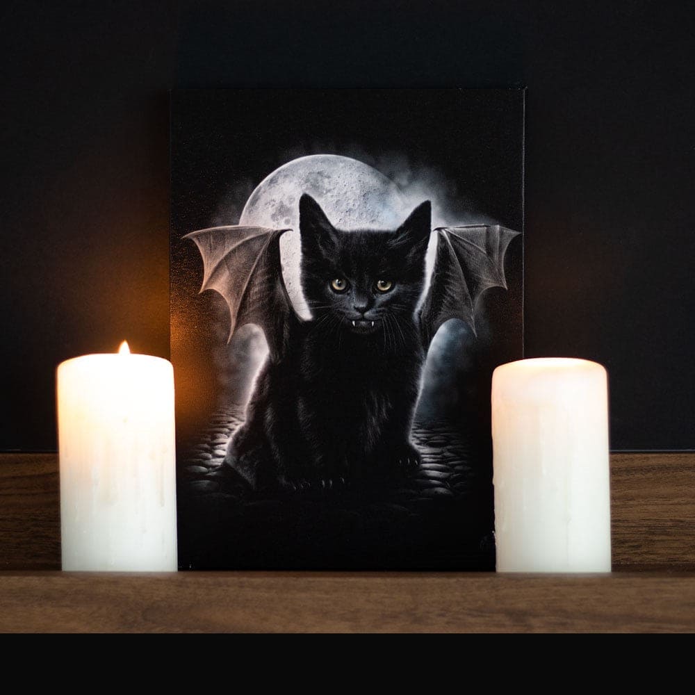 Bat Cat Wall Canvas Plaque by Spiral Direct - Wall Art's by Spiral Direct