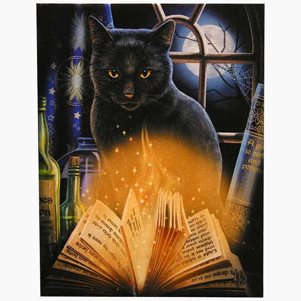 Bewitched Wall Canvas Art by Lisa Parker - Wall Art's by Lisa Parker