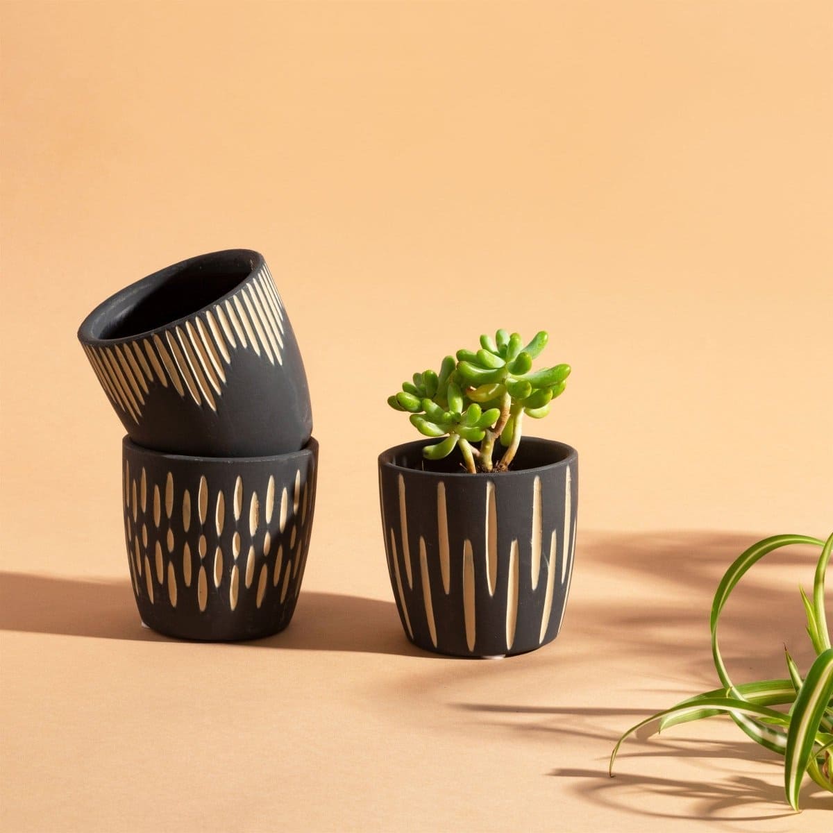 Black Sgraffito Mini Planters - Set Of 3 Plant Pots - Pots and Planters by Sass & Belle