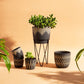 Black Sgraffito Planter, Medium Size Plant Pot - Pots and Planters by Sass & Belle