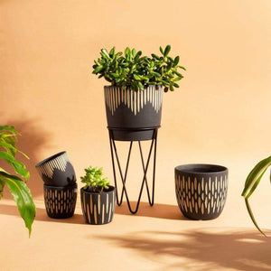 The Fashion Gift Shop: Black Sgraffito Planter, Medium Size Plant Pot by Sass and Belle, Pots and Planters