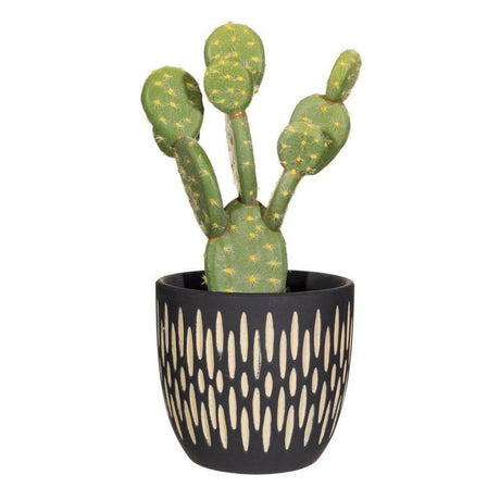 The Fashion Gift Shop: Black Sgraffito Planter, Medium Size Plant Pot by Sass and Belle, Pots and Planters
