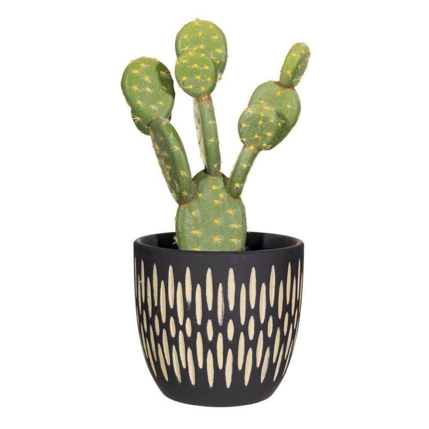The Fashion Gift Shop: Black Sgraffito Planter, Medium Size Plant Pot by Sass and Belle, Pots and Planters