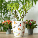 British Garden Birds Ceramic Plant Pot, Blue Tit, Robin, Goldfinch, Bullfinch - Pots & Planters by Jones Home & Gifts