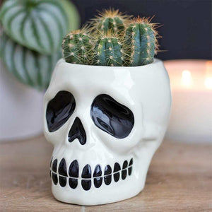 Ceramic Skull Plant Pot, Halloween Treat Holder, Spooky Planter - Pots & Planters by Spirit of equinox